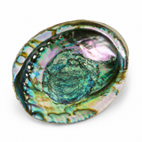 Abalone Shell Cleansing Bowl for Ritual & Sacred Space