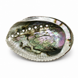 Abalone Shell Cleansing Bowl for Ritual & Sacred Space