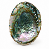 Abalone Shell Cleansing Bowl for Ritual & Sacred Space