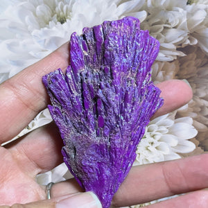 Crystals ~ Purple Aura Quartz Kyanite