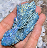 Crystals ~ Aqua Aura Kyanite-II
