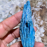 Crystals ~ Aqua Aura Kyanite-III