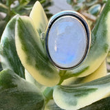 Moonstone Oval Shape Sterling Silver Ring