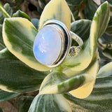 Moonstone Oval Shape Sterling Silver Ring