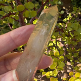 Romanian Citrine Point Crystal – 36g