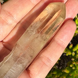 Romanian Citrine Point Crystal – 36g