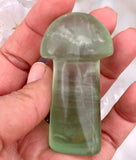 Crystals ~ Green Fluorite LG Mushroom