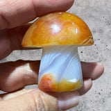 Crystals ~ Carnelian Sardonyx Mushroom 51.6