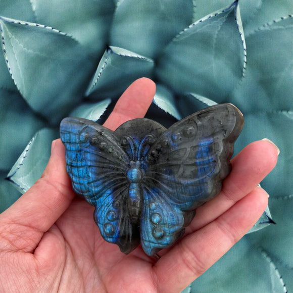 Crystals~ Labradorite Large Butterfly Carving