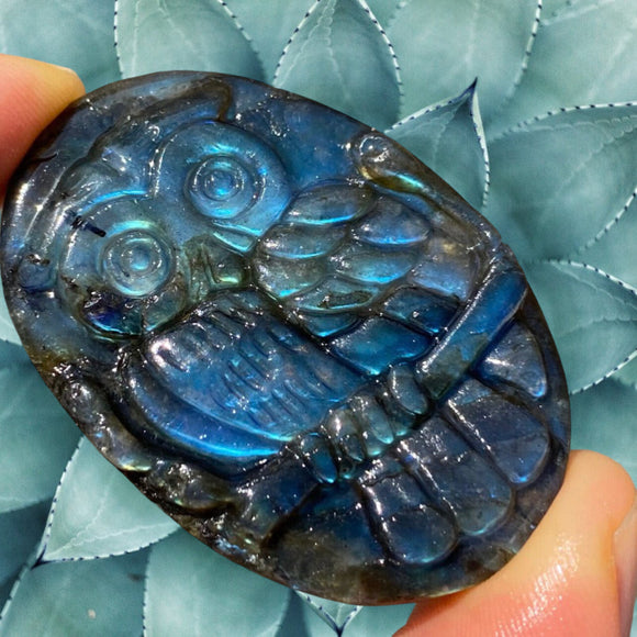 Crystals~ Labradorite Owl Carving