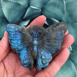 Crystals~ Labradorite Large Butterfly Carving