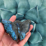 Crystals~ Labradorite Large Butterfly Carving