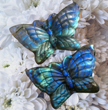 Crystals~ Labradorite Butterfly Carving
