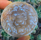 Crystals ~ Yellow Moonstone Lion Carving