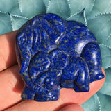 Crystals ~ Lapis Lazuli Elephant Family