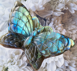 Crystals~ Labradorite Butterfly Carving