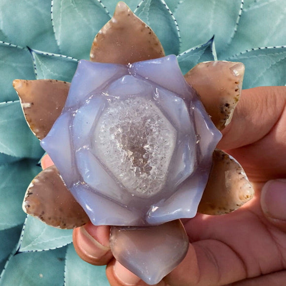 Crystals ~ Blooming Lotus Druzy Agate 179 grams