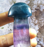 Crystals ~Flourite Rainbow Mushroom