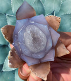Crystals ~ Blooming Lotus Druzy Agate 179 grams