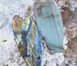 Crystals~ Labradorite Cicada Carving