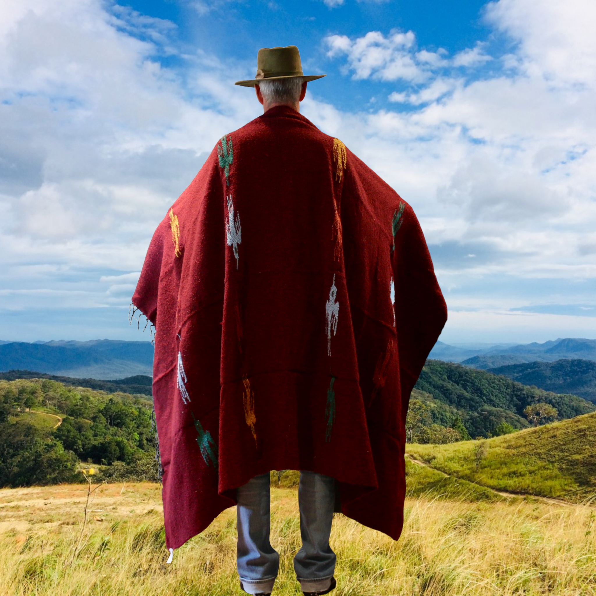 Thunderbird Mexican Blanket – a west style story