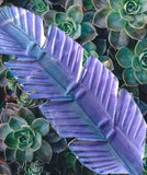 Crystals ~ Fluorite Feather