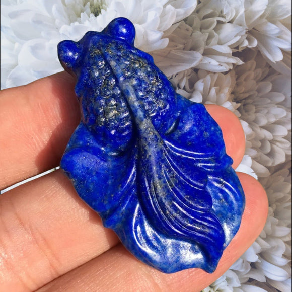 Crystals ~ Lapis Lazuli Fish