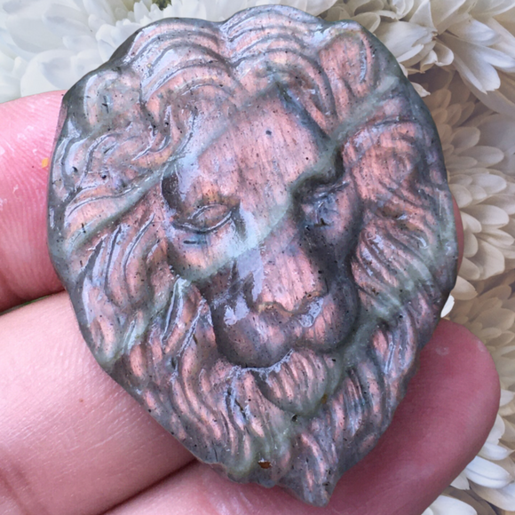 Crystals ~ Labradorite Lavender Lion