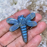 Labradorite ~ Dragonfly