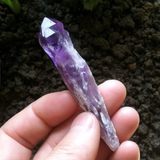 Crystals ~ Mini Amethyst Sceptor