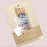 Moonchild Tarot Deck by Danielle Noel