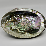 Abalone Cleansing Bowl