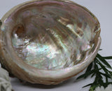 Abalone Cleansing Bowl + Sage Bundle