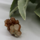 Crystals ~ Aragonite Cluster