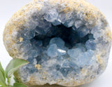Crystals ~ Celestite 2209 grams