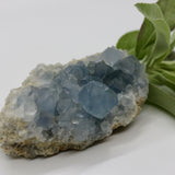 Crystals ~ Celestite 288 grams