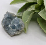 Crystals ~ Celestite 68 grams
