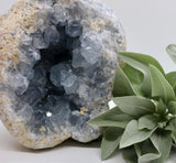 Crystals ~ Celestite 2209 grams