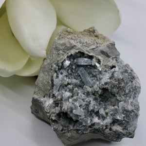 Crystals ~ Celestite 403 grams