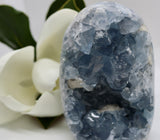 Crystals ~ Celestite 1505 grams