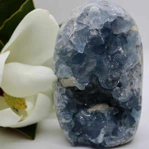 Crystals ~ Celestite 1505 grams