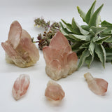 Crystals ~ Scarlet Temple Lemurian Point 46 grams