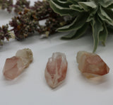 Crystals ~ Scarlet Temple Lemurian Point 31 grams