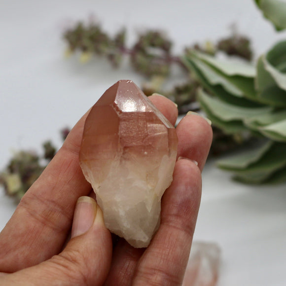 Crystals ~ Scarlet Temple Lemurian Point 46 grams