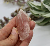 Crystals ~ Scarlet Temple Lemurian Point 31 grams