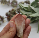 Crystals ~ Scarlet Temple Lemurian Point 30.5 grams