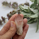 Crystals ~ Scarlet Temple Lemurian Point 30.5 grams