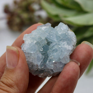 Crystals ~ Celestite 51 grams