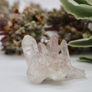 Crystals ~ Lilac Lemurian Cluster 20 grams