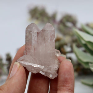 Crystals ~ Lilac Lemurian Cluster 19 grams